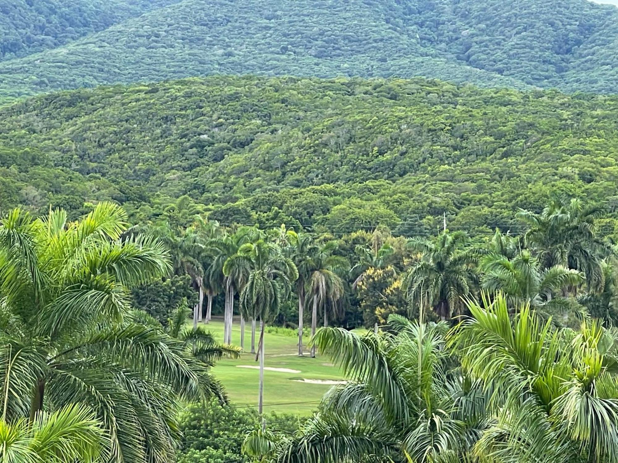 Marriott Seacastles E22, Montego Bay Aparthotel Luaran gambar