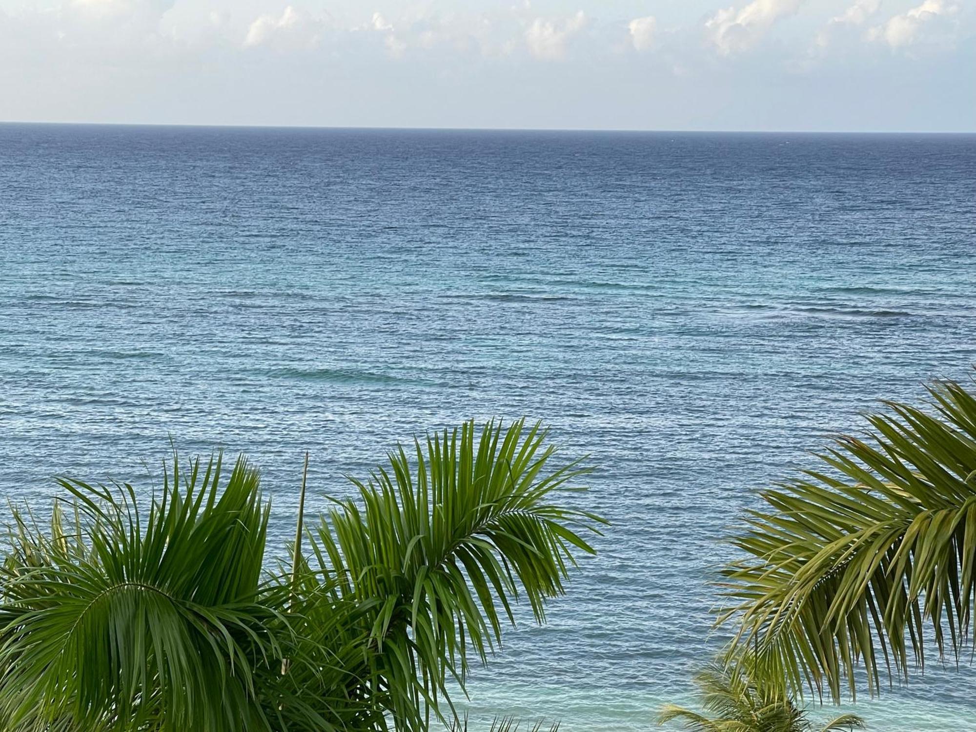 Marriott Seacastles E22, Montego Bay Aparthotel Luaran gambar
