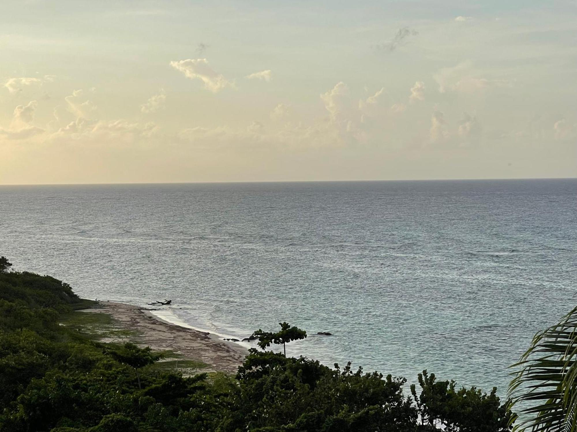 Marriott Seacastles E22, Montego Bay Aparthotel Luaran gambar